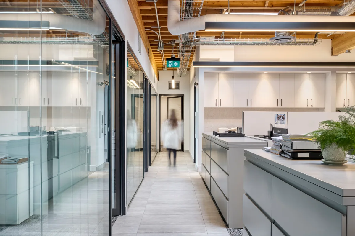 Odishawguidolawfirm Edits 10